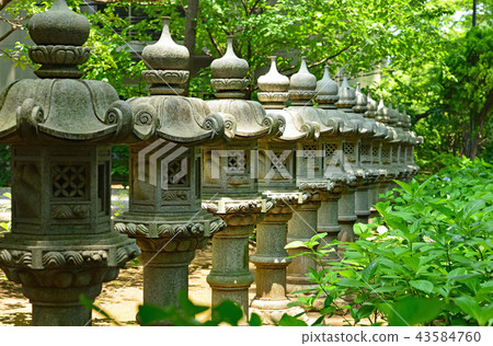 Cityscape Tokyo Suginami Cityscape Tokyo Suginami 43584760