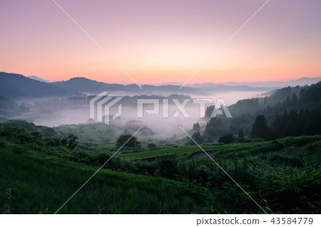 梯田(早晨) 梯田(早晨) 43584779