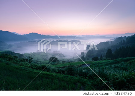 梯田(早晨) 梯田(早晨) 43584780