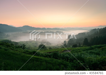 梯田(早晨) 梯田(早晨) 43584781