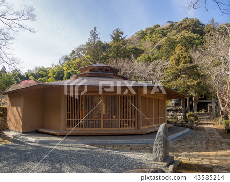 [Izu] Landscape of Shuinji Okunoin [Gomado, early spring] 43585214
