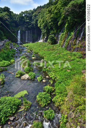 Shizuoka Prefecture Fujinomiya City Fuji Shiraito Falls Shizuoka Prefecture Fujinomiya City Fuji Shiraito Falls 43586822