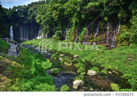 Shizuoka Prefecture Fujinomiya City Fuji Shiraito Falls 43586835