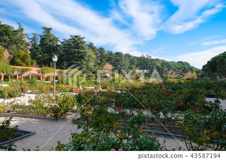 馬德里奧斯特公園 43587194