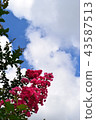 Look up at the sky  43587513