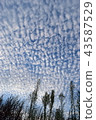 Run through the sky 43587529