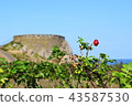 Kamosaki Observatory 43587530