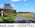 road  43587531