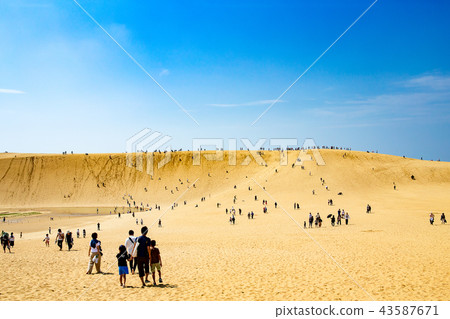 鳥取沙丘（馬背） 43587671