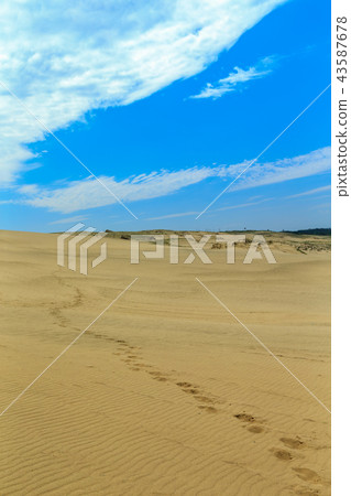 附在鳥取沙丘的腳印 附在鳥取沙丘的腳印 43587678