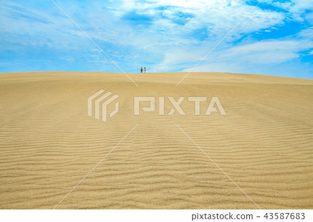 鳥取沙丘（Curtle和藍天） 43587683