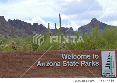 Arizona Cactus Benkei Column Saguaro 43587716