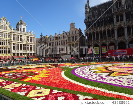 大皇宮花地毯 43588961