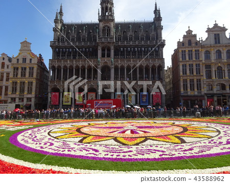 大皇宮花地毯 43588962