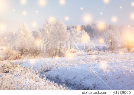 Winter landscape. Christmas Holiday Winter landscape. Christmas Holiday 43589060