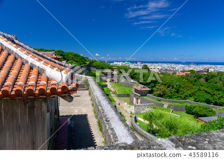 Shurijo Castle Park in Okinawa Shurijo Castle Park in Okinawa 43589116
