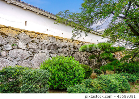 White ground Himeji Castle 43589381