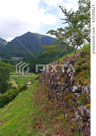 [國家歷史遺址 -  100座大城堡的續集]赤城城（赤城城遺址）石垣 43589823