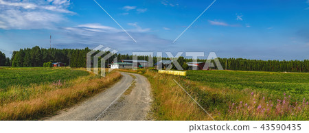 Typical scandinavian countryside in summer Typical scandinavian countryside in summer 43590435