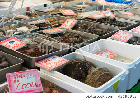 Fish market Fish market 43590912