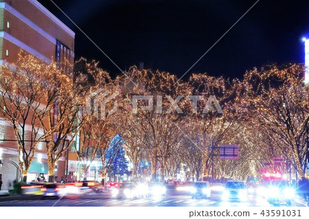 Pageant of light 43591031