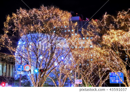 Pageant of light 43591037