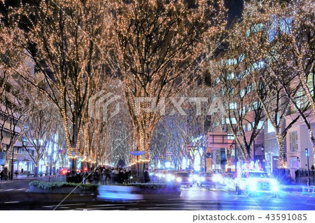 Pageant of light Pageant of light 43591085