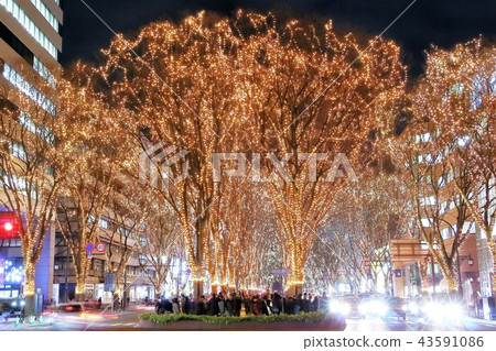 Pageant of light Pageant of light 43591086