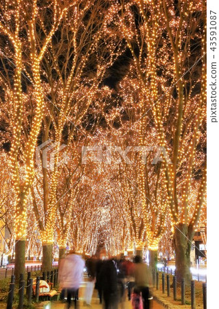 Pageant of light Pageant of light 43591087