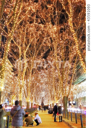 Pageant of light 43591093