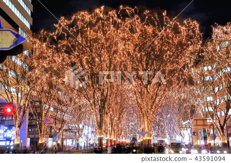 Pageant of light Pageant of light 43591094