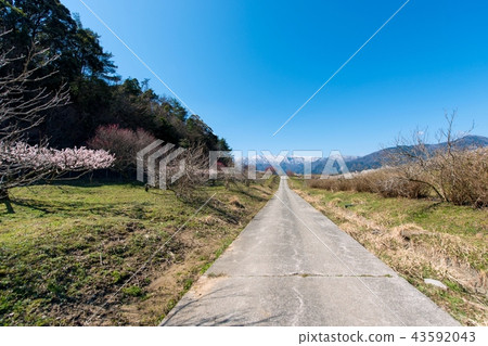 Road leading to the mountain beyond 43592043