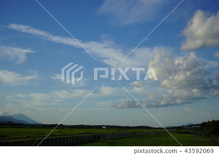 A view from the airport 43592069