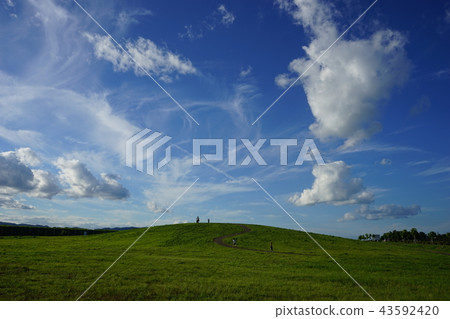 從機場的視圖 43592420