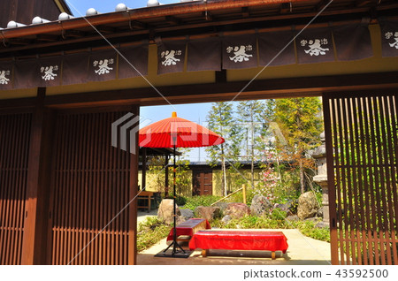 Uji tea garden in Ujibashi Street shopping district 43592500