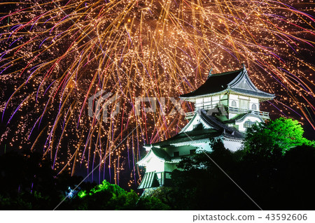 Kiso River Unoka Fireworks Festival 43592606
