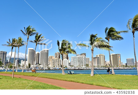 Holidays in Hawaii 43592838
