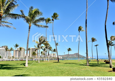 Holidays in Hawaii 43592840
