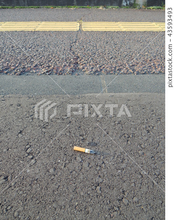 Littered cigarettes on the sidewalk Littered cigarettes on the sidewalk 43593493