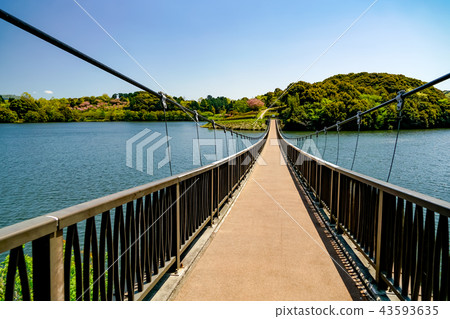 Oita Agricultural Cultural Park Suspension Bridge Oita Agricultural Cultural Park Suspension Bridge 43593635