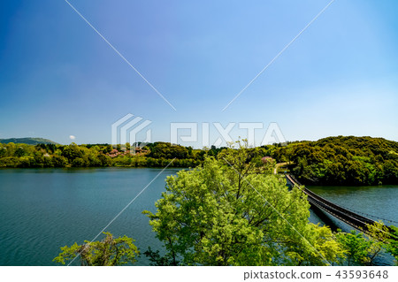 大分縣農業文化公園吊橋 大分縣農業文化公園吊橋 43593648