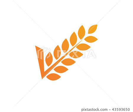 rice food meal logo and symbols rice food meal logo and symbols 43593650