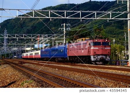 1994 EF81105東海道線上的快速月光Yaegaki 43594345