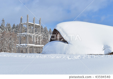 [青森縣青森市]冬天的Sannai Maruyama廢墟埋在雪中 43594540