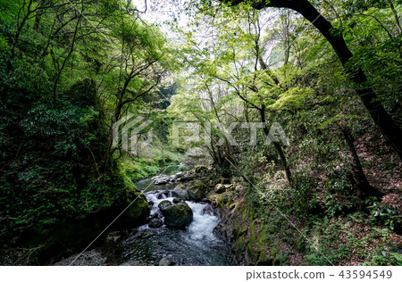 Ameiwado Shrine Gokase River 43594549