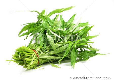 Water spinach or morning glory Water spinach or morning glory 43594679