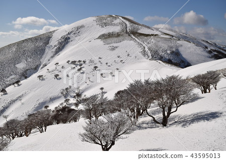 Ryugatake Ryugatake 43595013