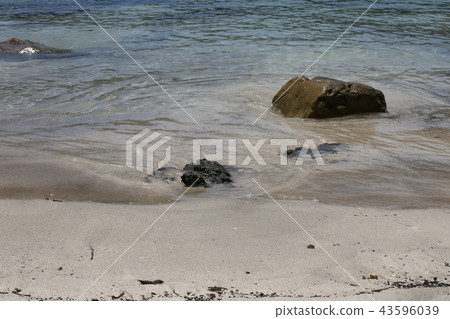 海岸波 43596039