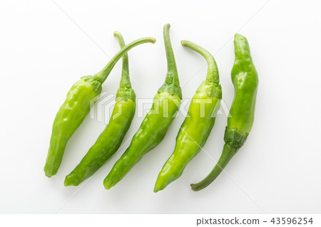 青椒 43596254