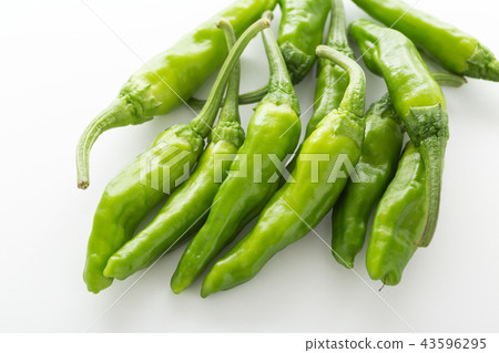 青椒 43596295